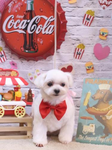 20230923マルちゃん